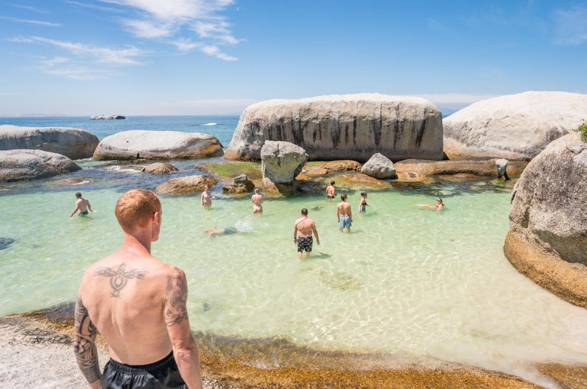Never At Home Green Point Kapstaden Eksteriør billede Swimming at Boulders Beach